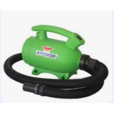 B-55-GRN 2in1HomePetDry/Green Xpower Pet Dryer